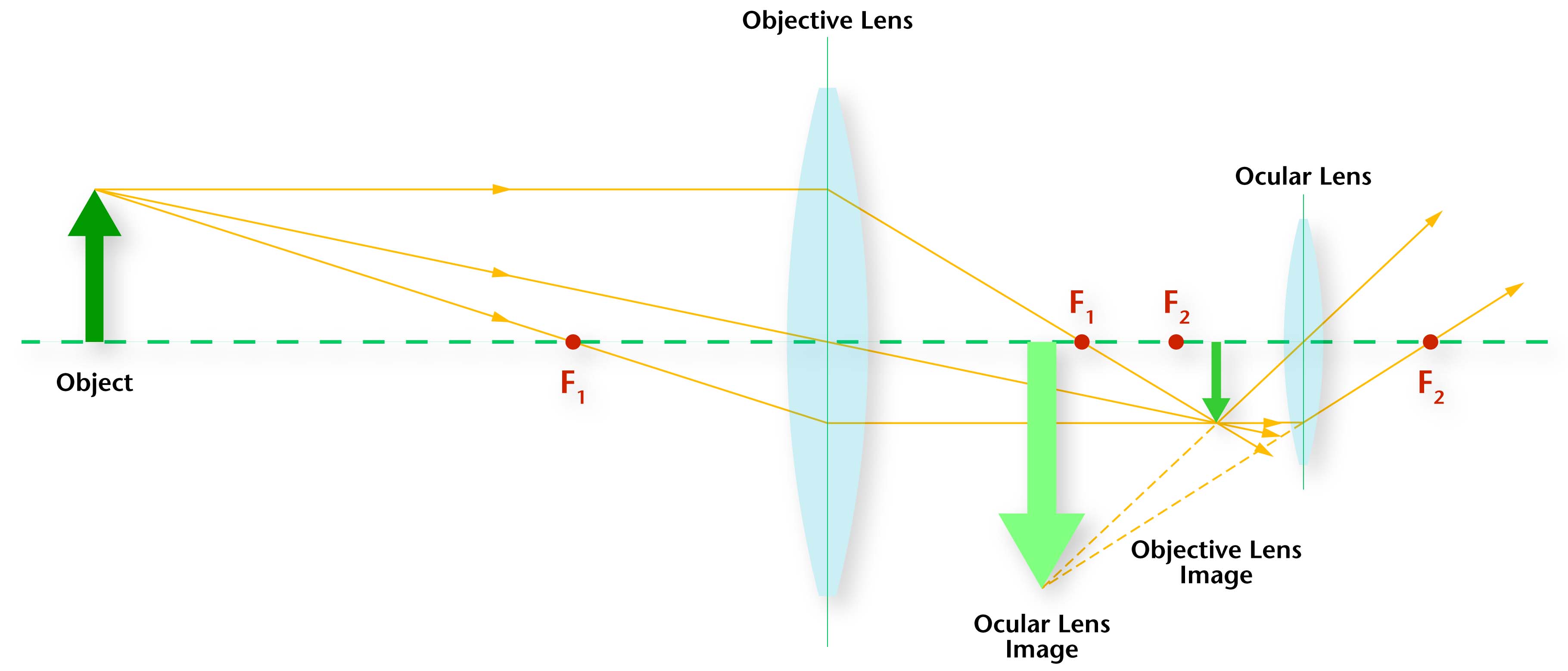 Home Education Science Resources Illustrations